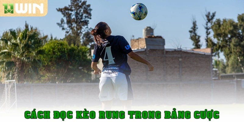 Cách đọc kèo rung trong bảng cược