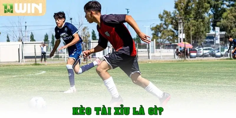 Hướng dẫn chi tiết cách đọc và chơi kèo tài xỉu tại 11win 2 Kèo tài xỉu là gì?