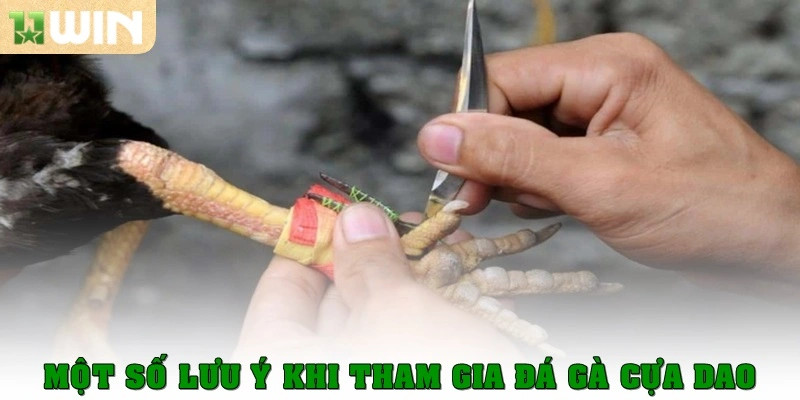 Đá Gà Cựa Dao - Siêu Phẩm Cá Cược Thịnh Hành Hiện Nay 3 Một số lưu ý khi tham gia đá gà cựa dao